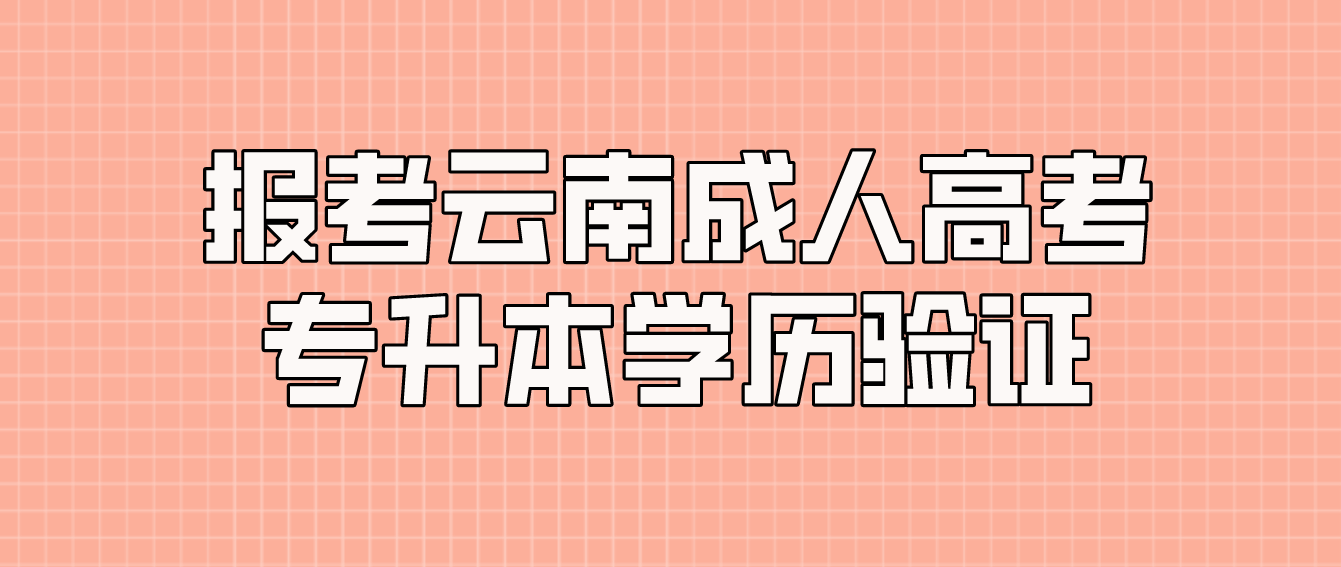 報考云南普洱成人高考專升本應具有什么學歷，如何進行驗證？